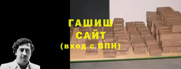 молекула духа Новозыбков