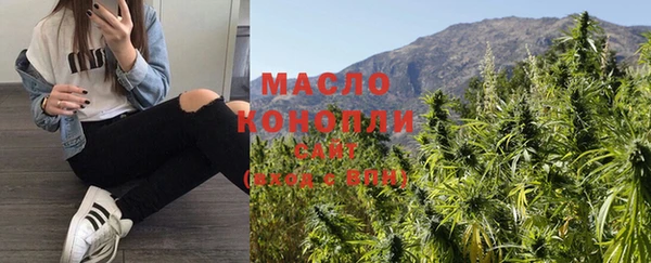 молекула духа Новозыбков