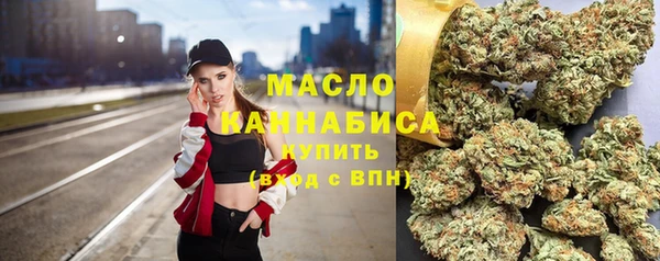 молекула духа Новозыбков