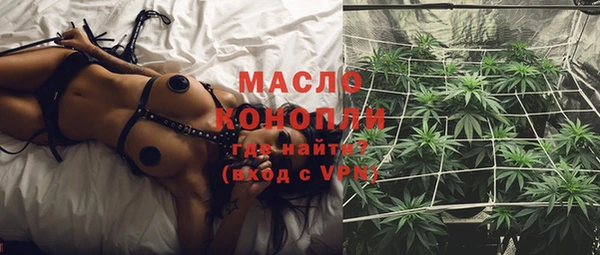 молекула духа Новозыбков