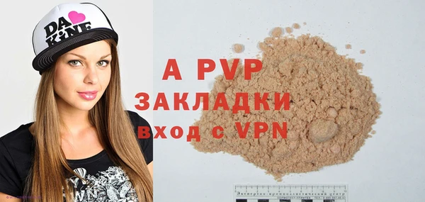 молекула духа Новозыбков