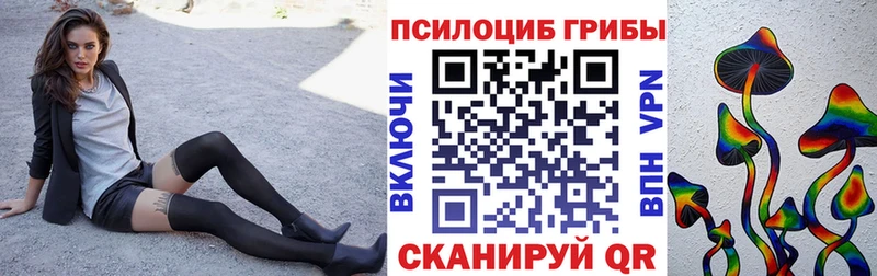 Псилоцибиновые грибы Cubensis Тихорецк